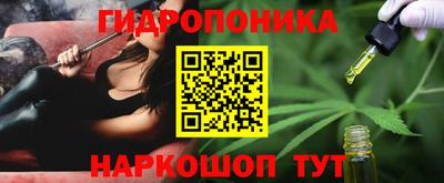 индика Нальчик