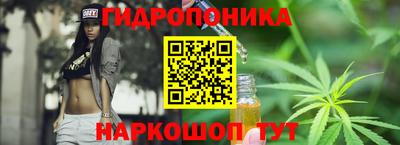 индика Нальчик