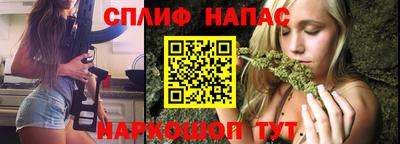индика Нальчик