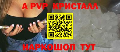 индика Нальчик