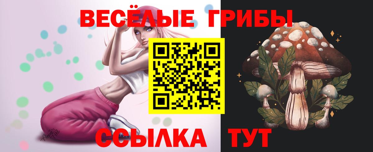 Галлюциногенные грибы прущие грибы  Вход с VPN  Самара  Галлюциногенные грибы Magic Shrooms 